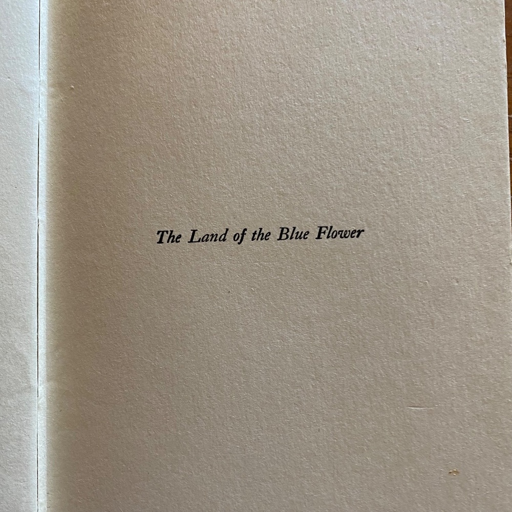 Dodd Mead Blue Cloth Embossed Hardcover Book Vintage 1924 Coffee Table - Picture 9 of 16